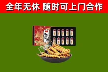 乌翠回收冬虫夏草价格